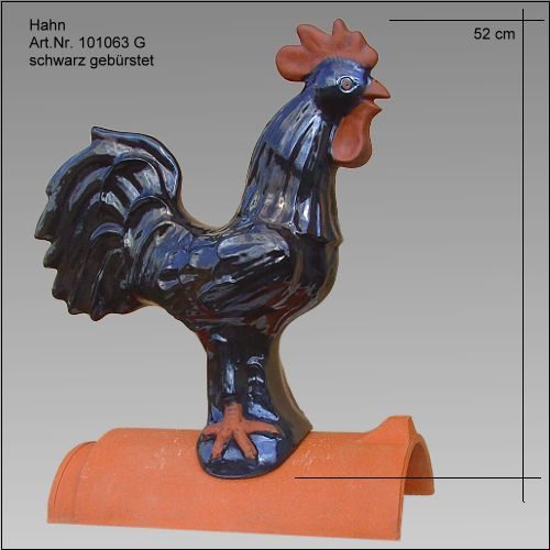 hahn_101063G_schwarz_geb